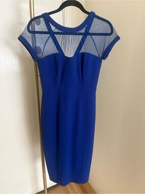 Maggy London Royal Blue Illusion Mesh Sheath Cocktail Dress Size 4